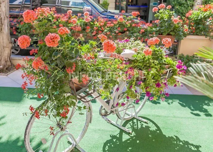 River Fronte Mare Con Piscina Hotel 3*