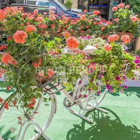 River Fronte Mare Con Piscina Hotell 3*